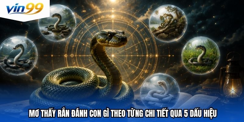 Mơ thấy rắn đánh con gì theo từng chi tiết qua 5 dấu hiệu